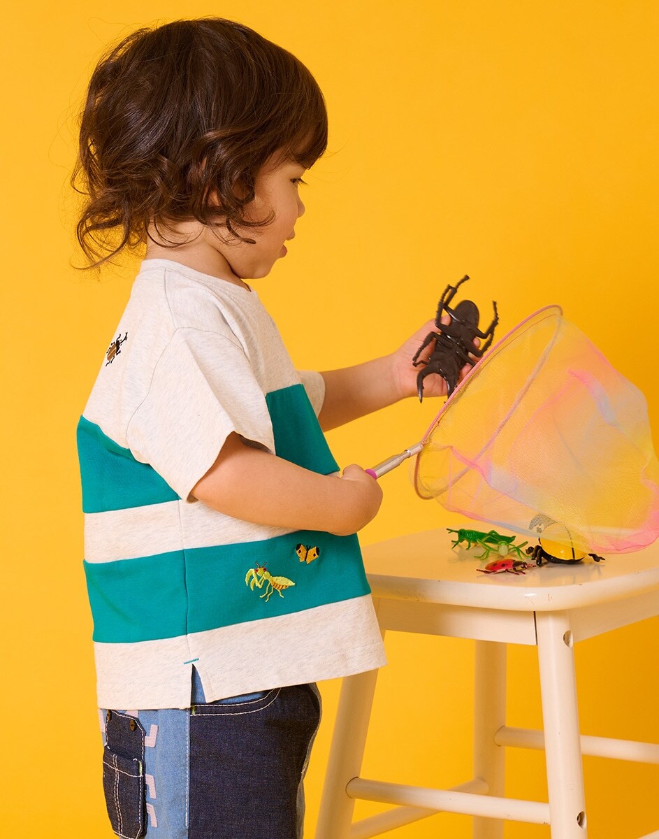 kladskap 2026 SUMMER INSECT COLLECTION
