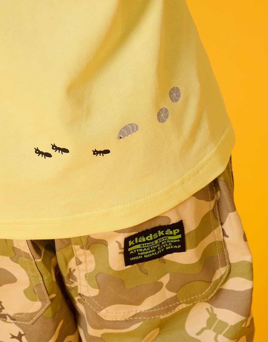 kladskap 2026 SUMMER INSECT COLLECTION