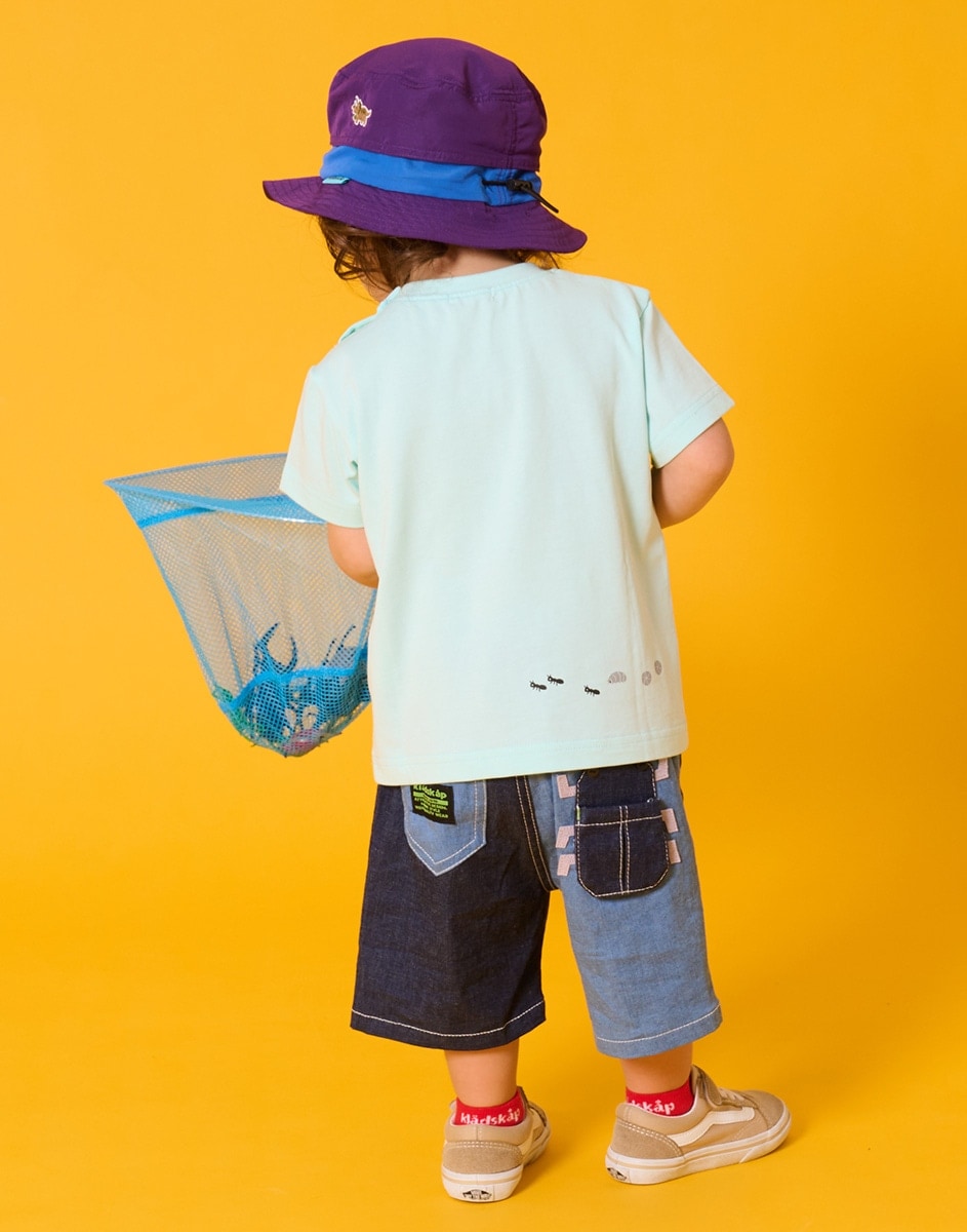 kladskap 2026 SUMMER INSECT COLLECTION