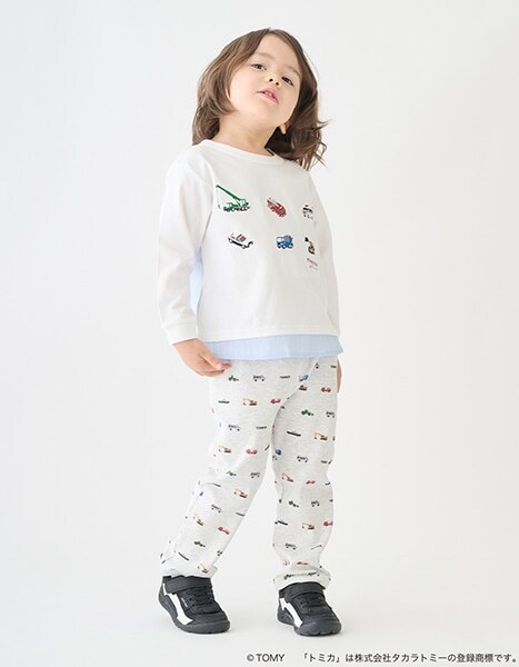 petit main TOMICA・ANIA collection 2026.1