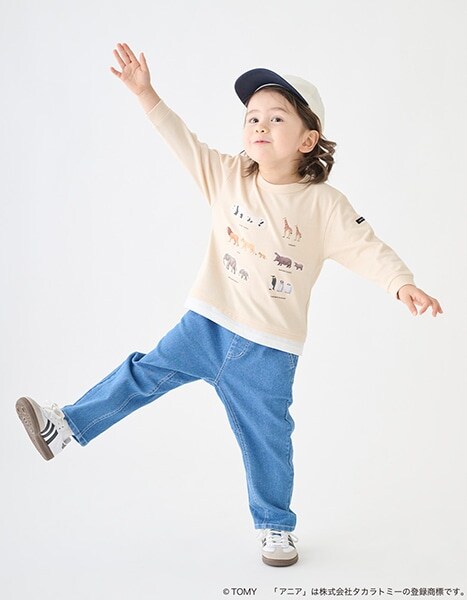 petit main TOMICA・ANIA collection 2026.1