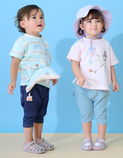 petit main 水族館 collection 2026.6