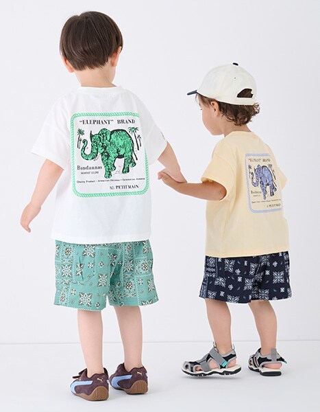 petit main ELEPHANT collection 2026.7