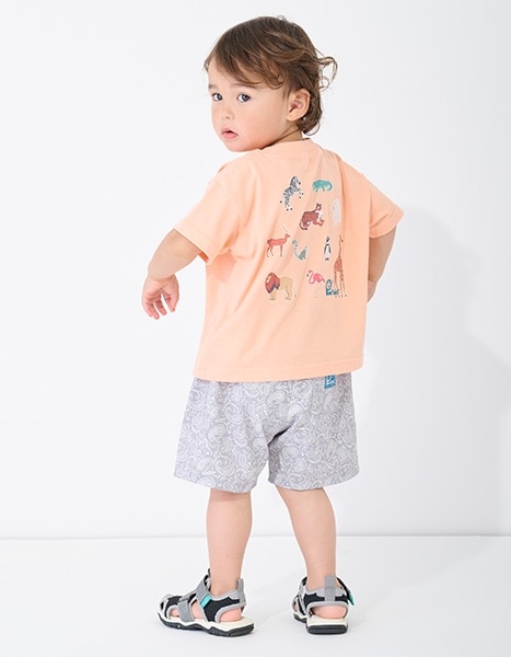 petit main Penfield collection 2026.7