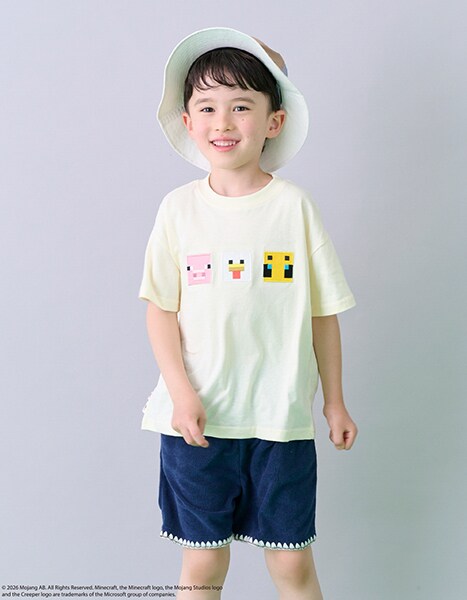 petit main MINECRAFT collection 2026.7