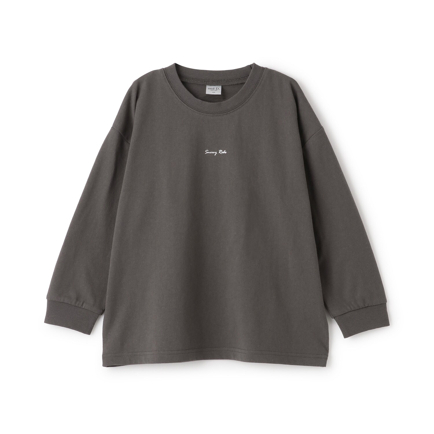 【USAコットン】バックフォトワイドロンT
