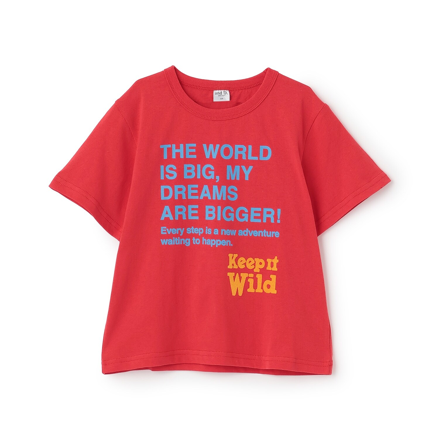 【綿100%】ドリームメッセージロゴ半袖T