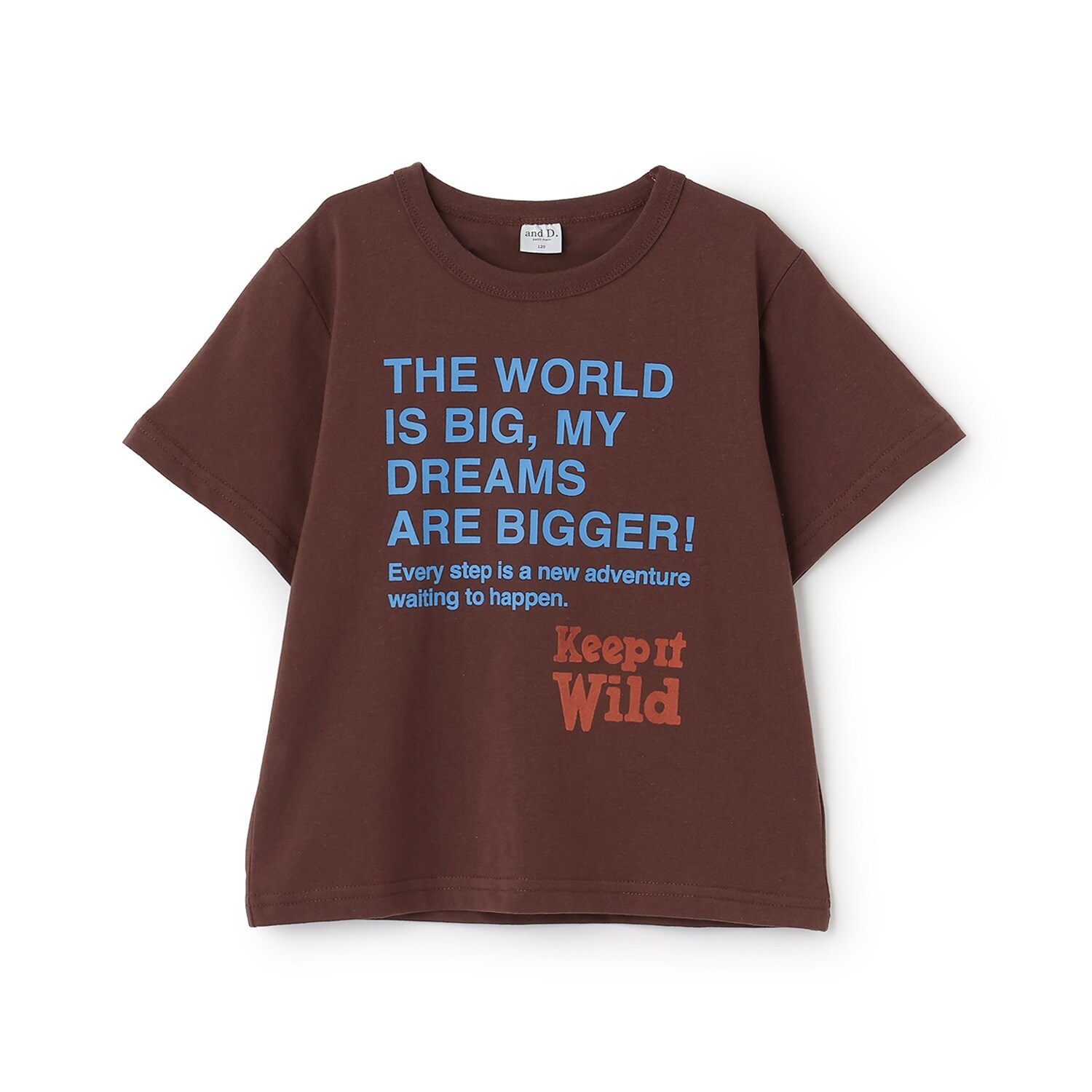 【綿100%】ドリームメッセージロゴ半袖T