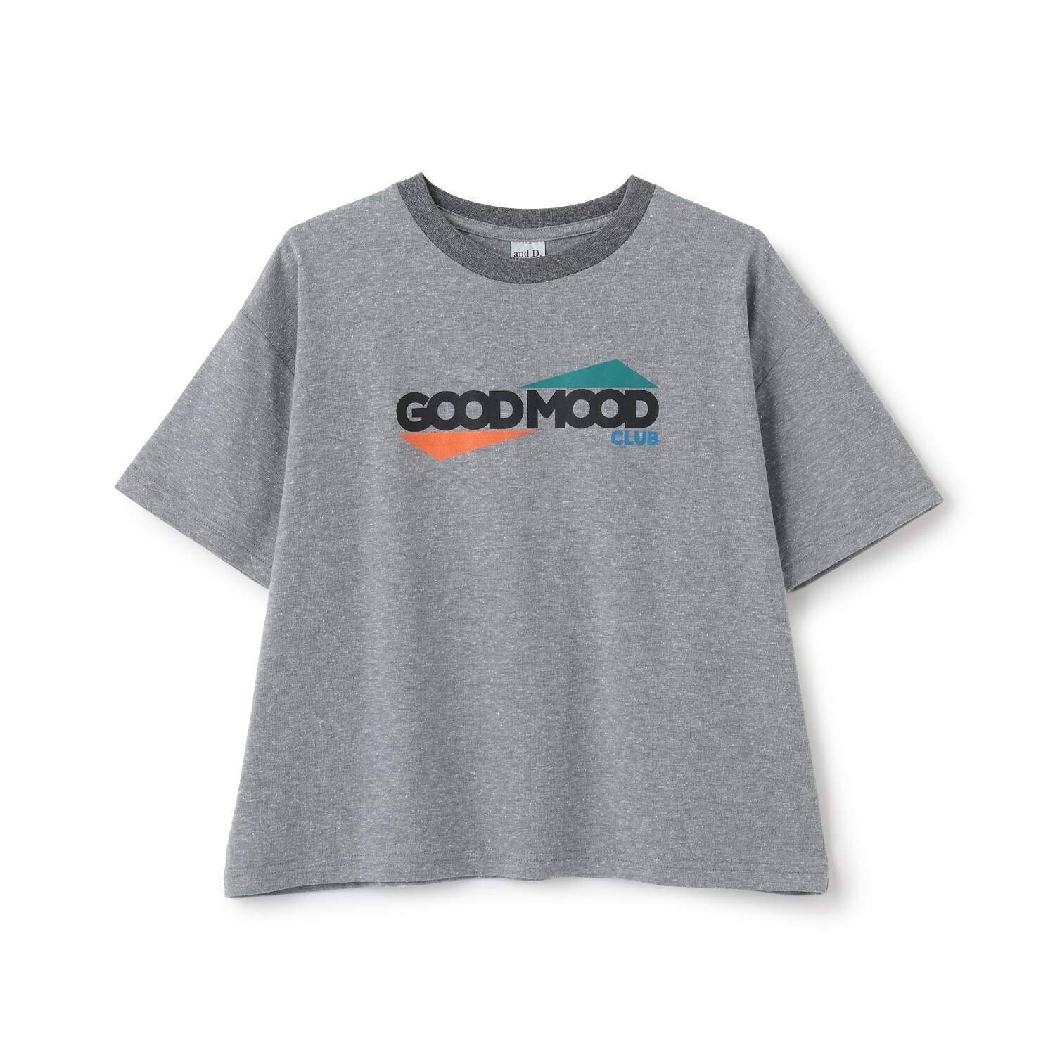 TCR/ビックシルエットリンガー半袖T