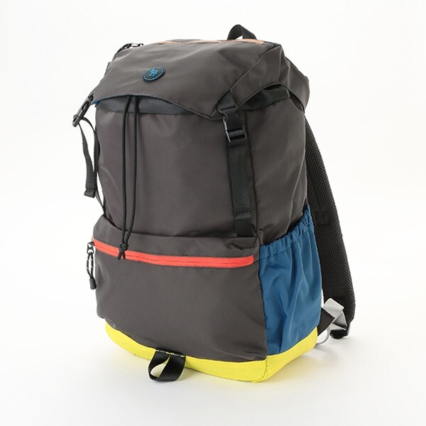 30Lゼブラロゴバックパック