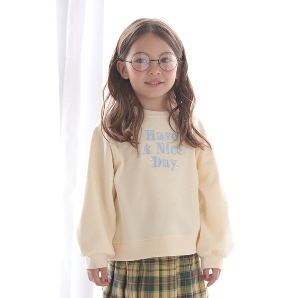 【表コットン毛玉バイバイ裏起毛】アソート刺しゅうスウェット