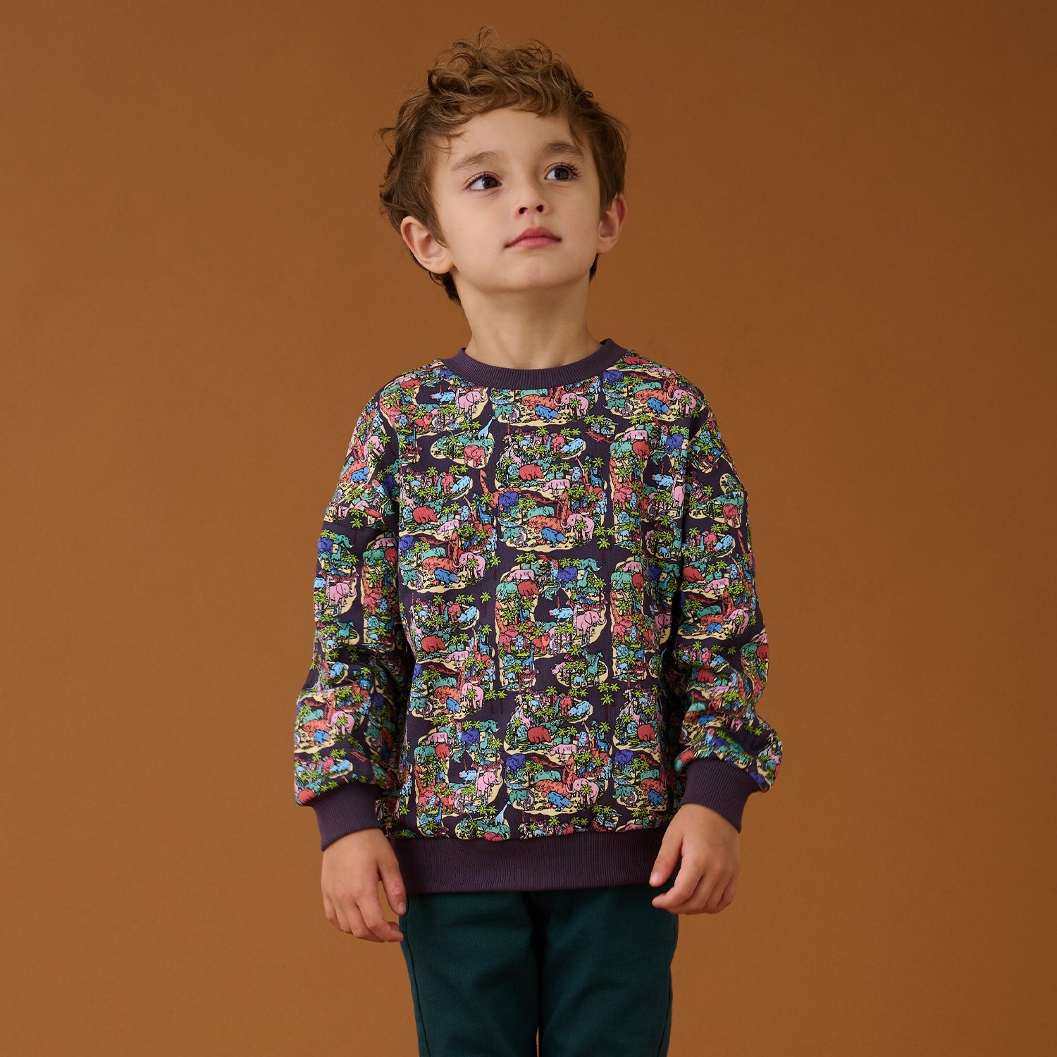 アニマル島裏毛ルーズプルオーバー