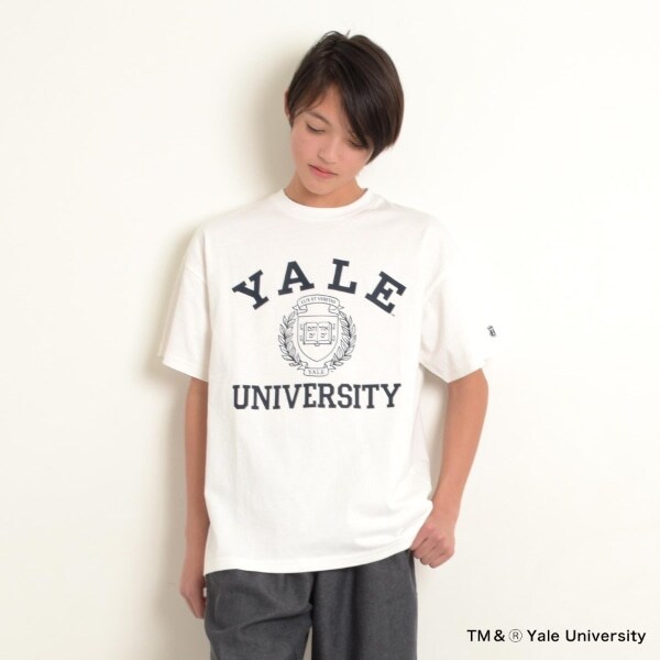 【大人向けサイズあり】【YALE】コットン・半袖カレッジプリントTシャツ