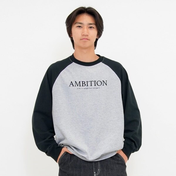 【大人向けサイズあり】USAコットン・スウェTフロント刺繍ラグランビッグ長袖Tシャツ