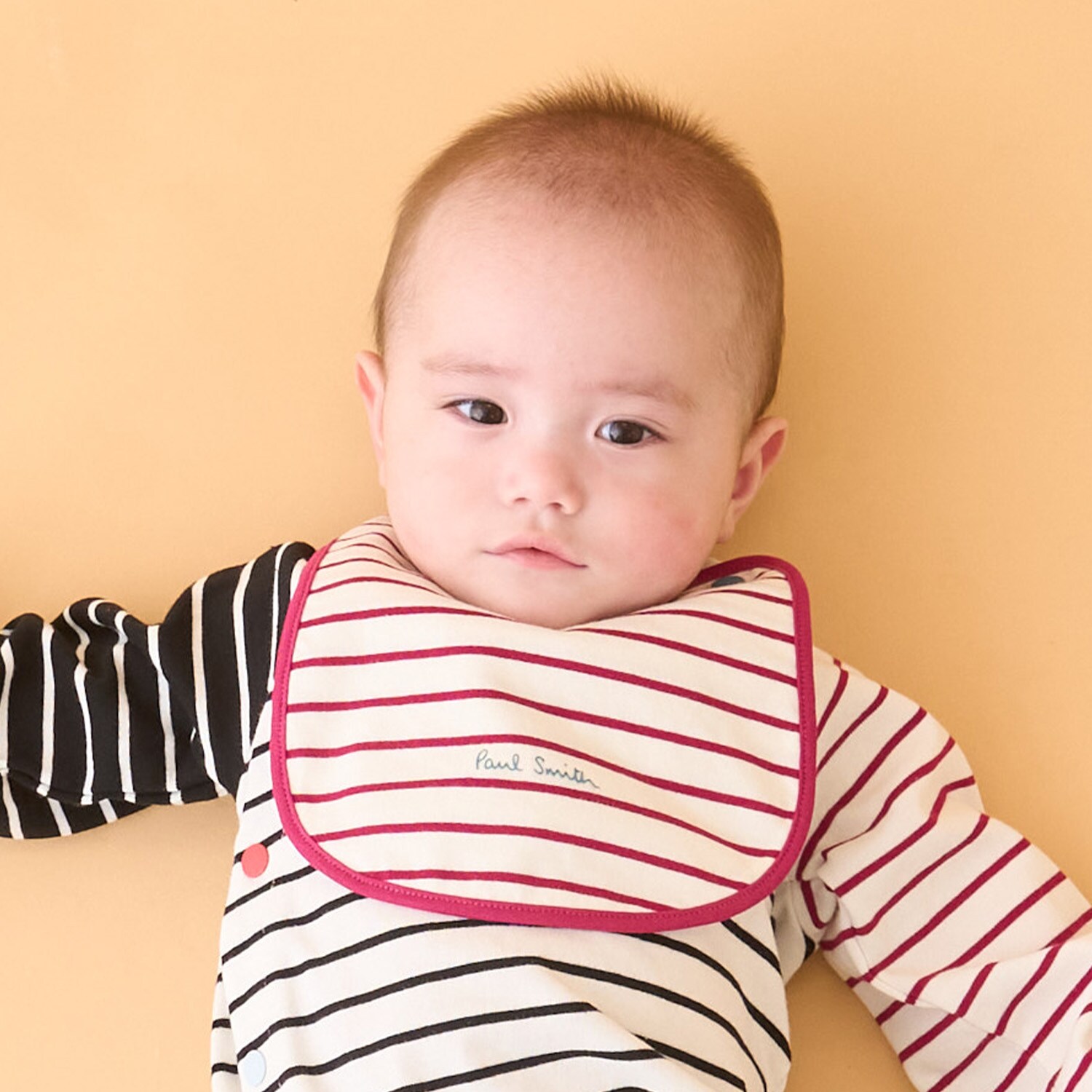 ロゴボーダースタイ