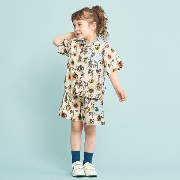 サンフラワーセットアップ