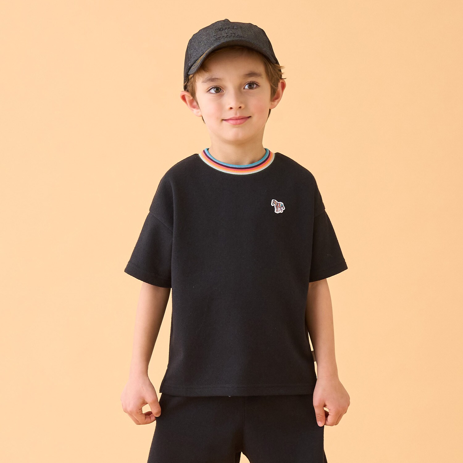 アーティストストライプリブ半袖Tシャツ