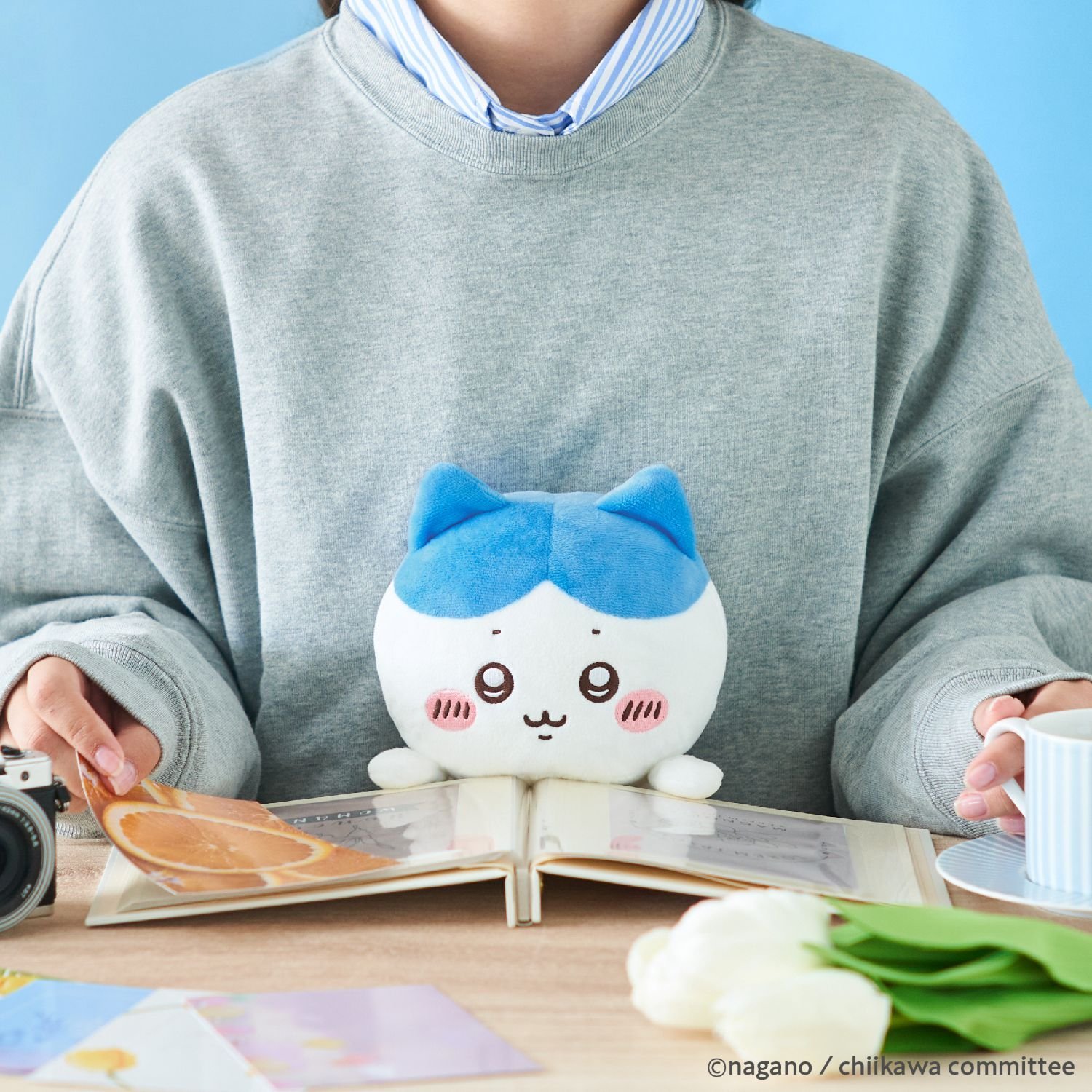 【ふんばるず】ちいかわ