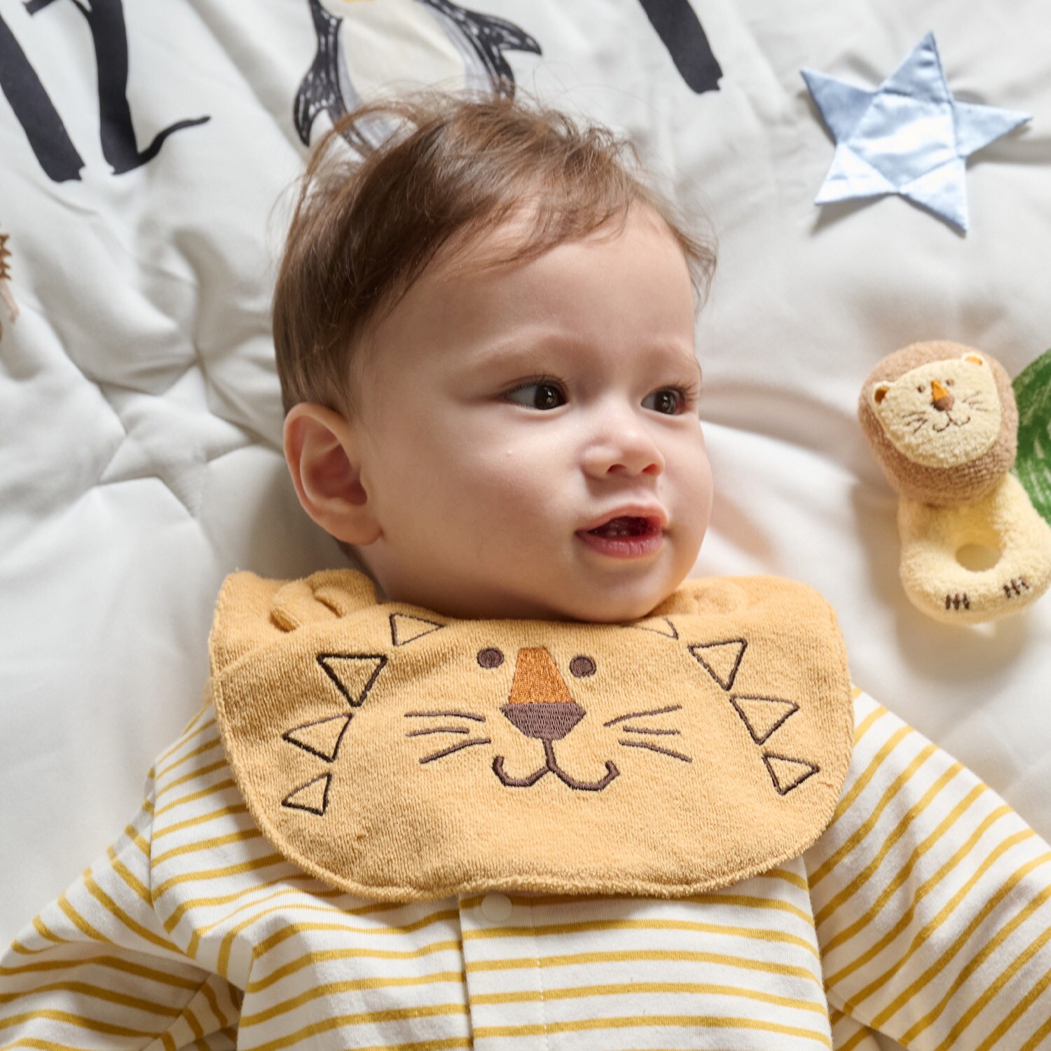 いきものスタイ