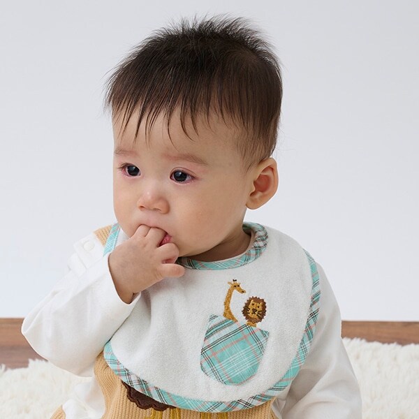 ポケットからアニマルスタイ