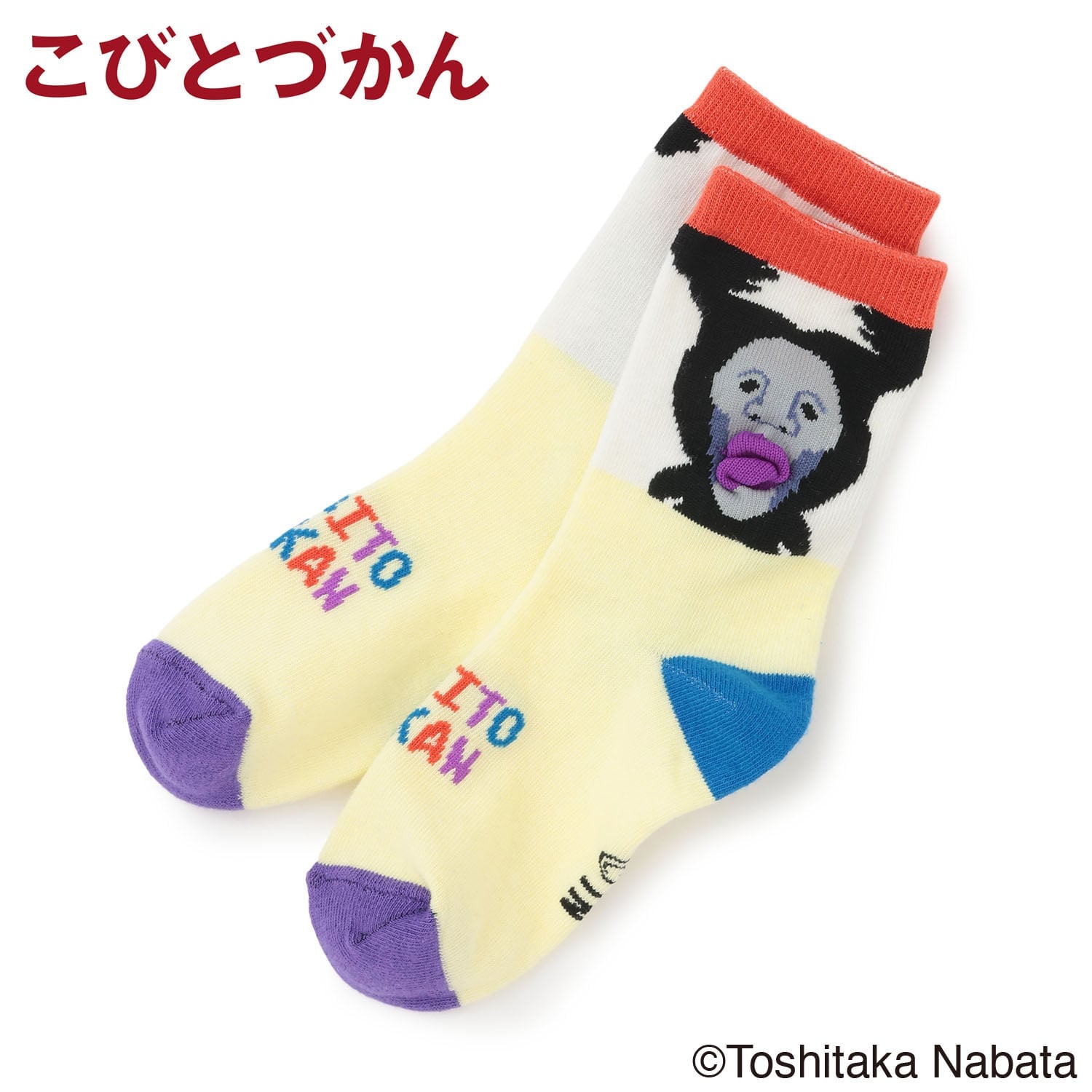 【4月29日発売予定】【こびとづかん】ぷっくりクルーソックス