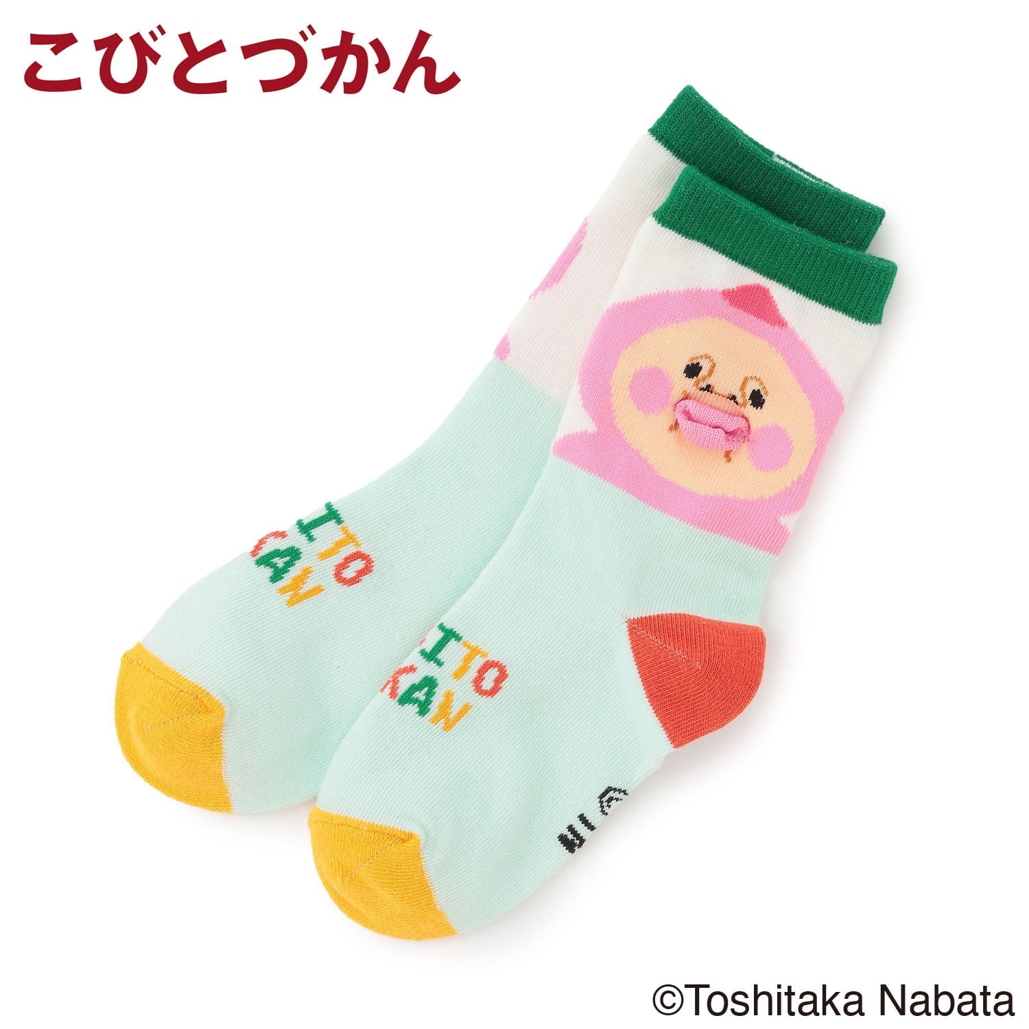 【4月29日発売予定】【こびとづかん】ぷっくりクルーソックス