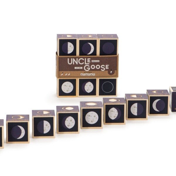 【湘南インターナショナル】ムーンブロック(9pcs)