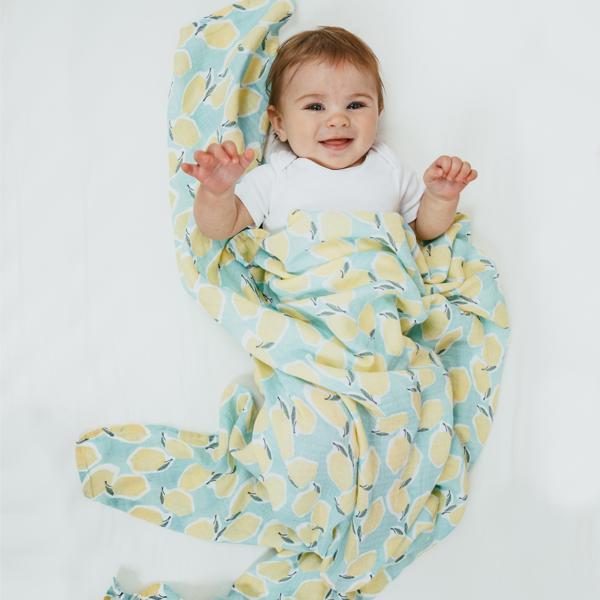 【aden + anais】スワドル/ファームトゥテーブル/2枚