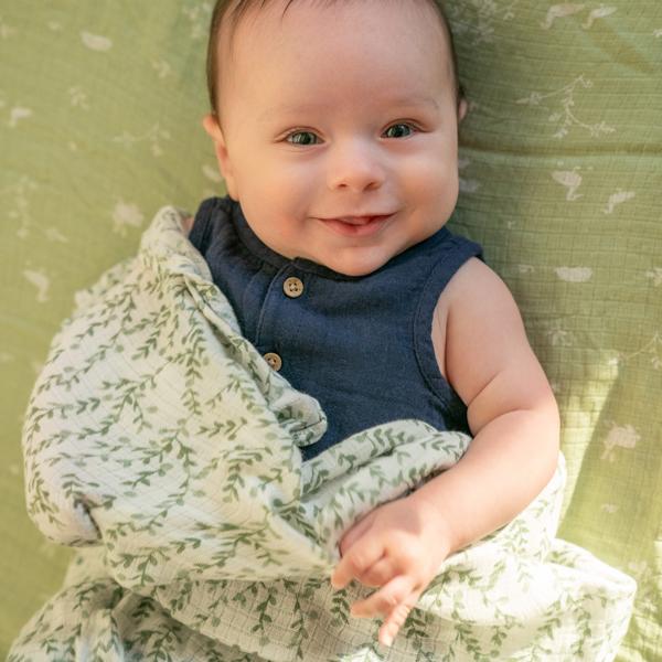 【aden + anais】スワドル/ネイチャーフレンズ/シルキーソフト/2枚