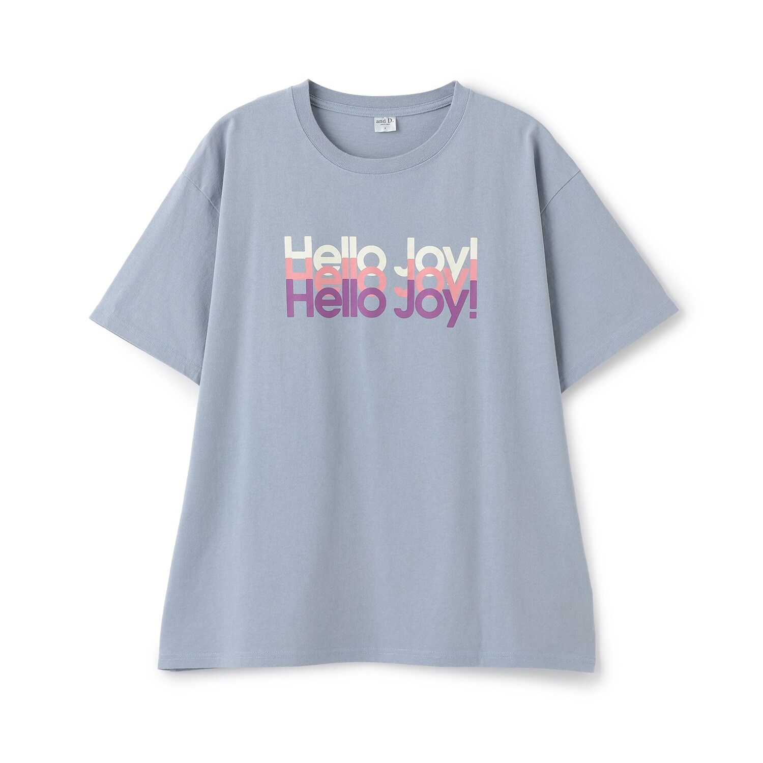 【DAD】USED風加工ロゴ半袖T