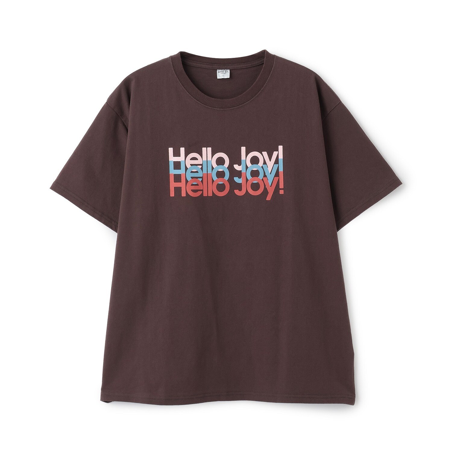 【DAD】USED風加工ロゴ半袖T