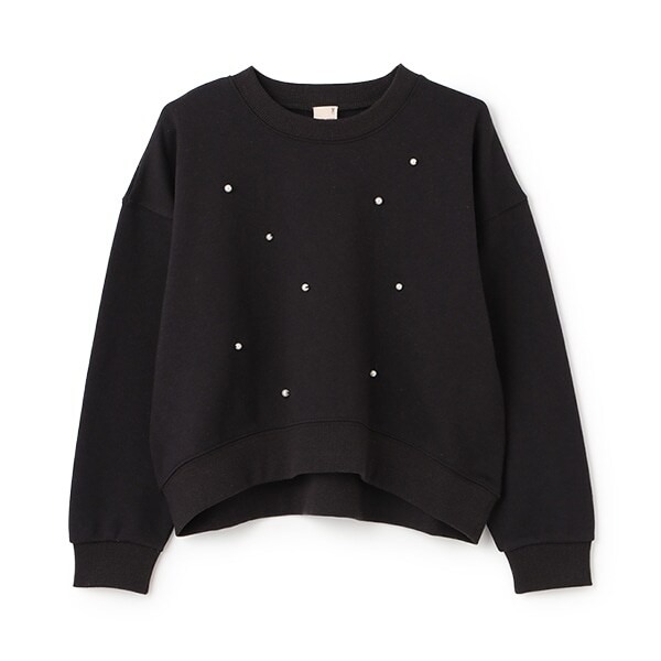 【リンク】パールトレーナー(ジュニア)