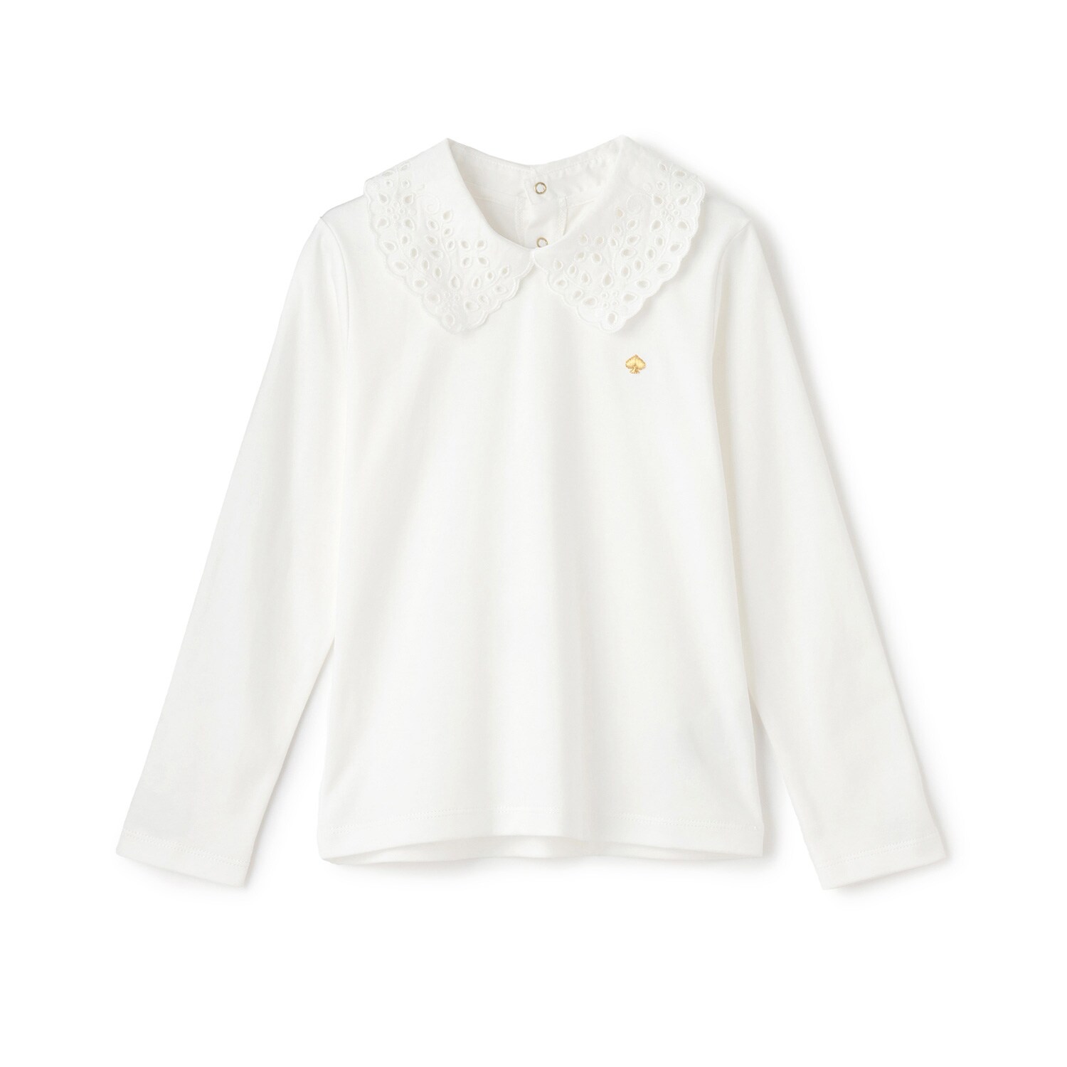 【人気商品再入荷】【直営店で取り扱い無し】レースカラーカットソー