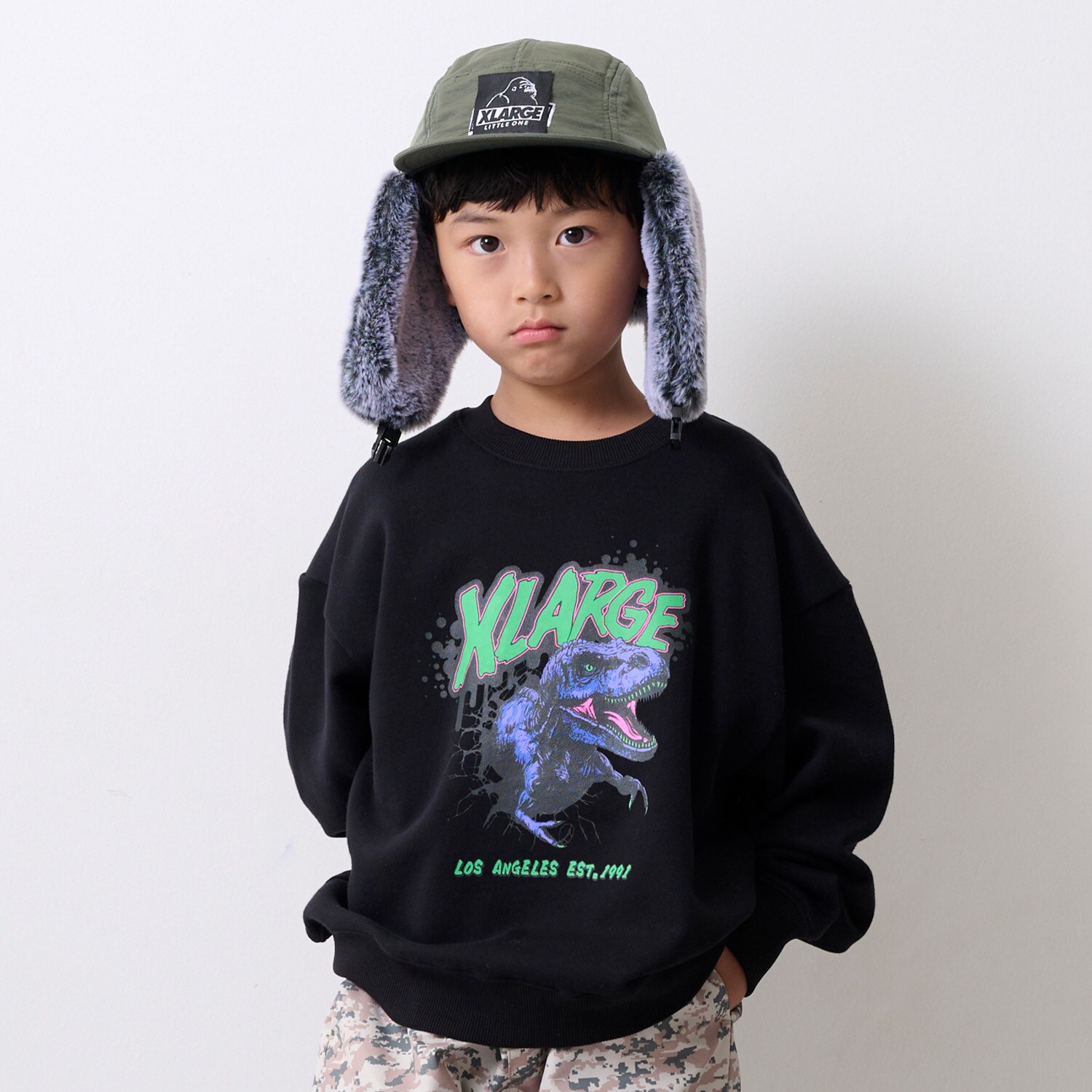 ダイナソートレーナー