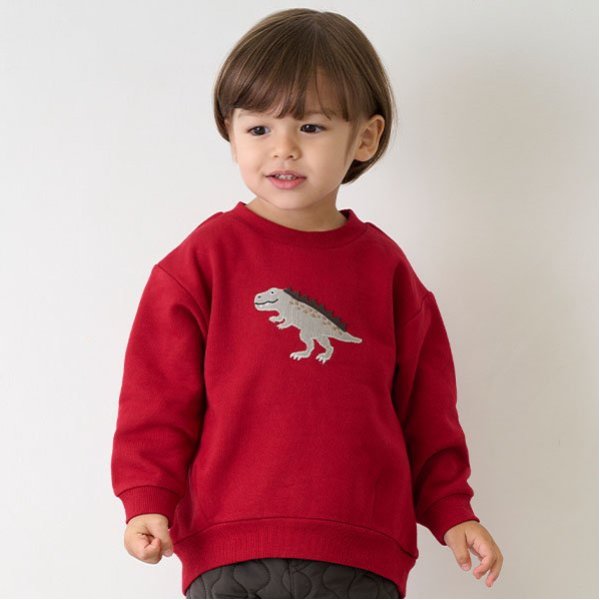 【リンク】動物・恐竜トレーナー(キッズ)