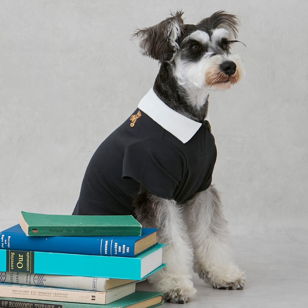 【DOG】【接触冷感】ポロ衿配色Tシャツ