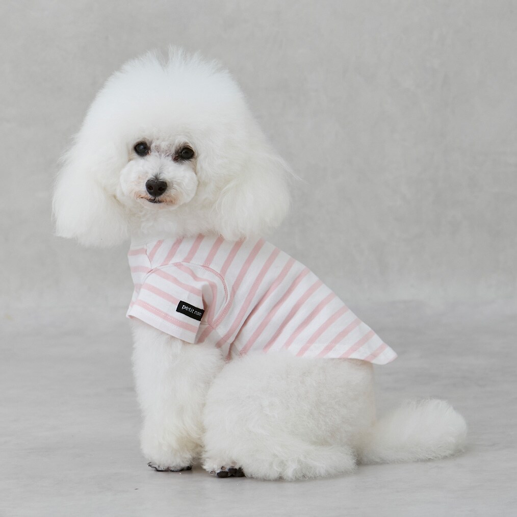 【リンク】【DOG】【接触冷感】ボーダーTシャツ