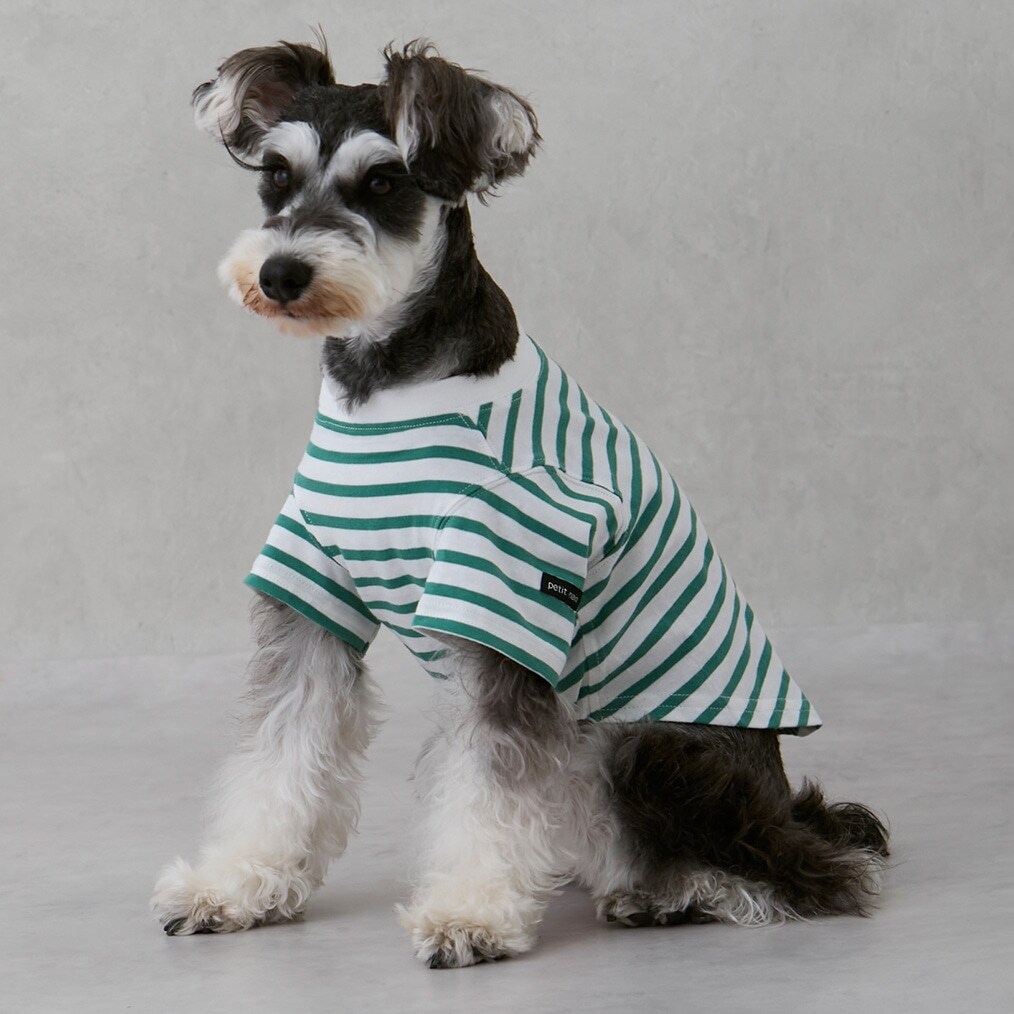 【リンク】【DOG】【接触冷感】ボーダーTシャツ