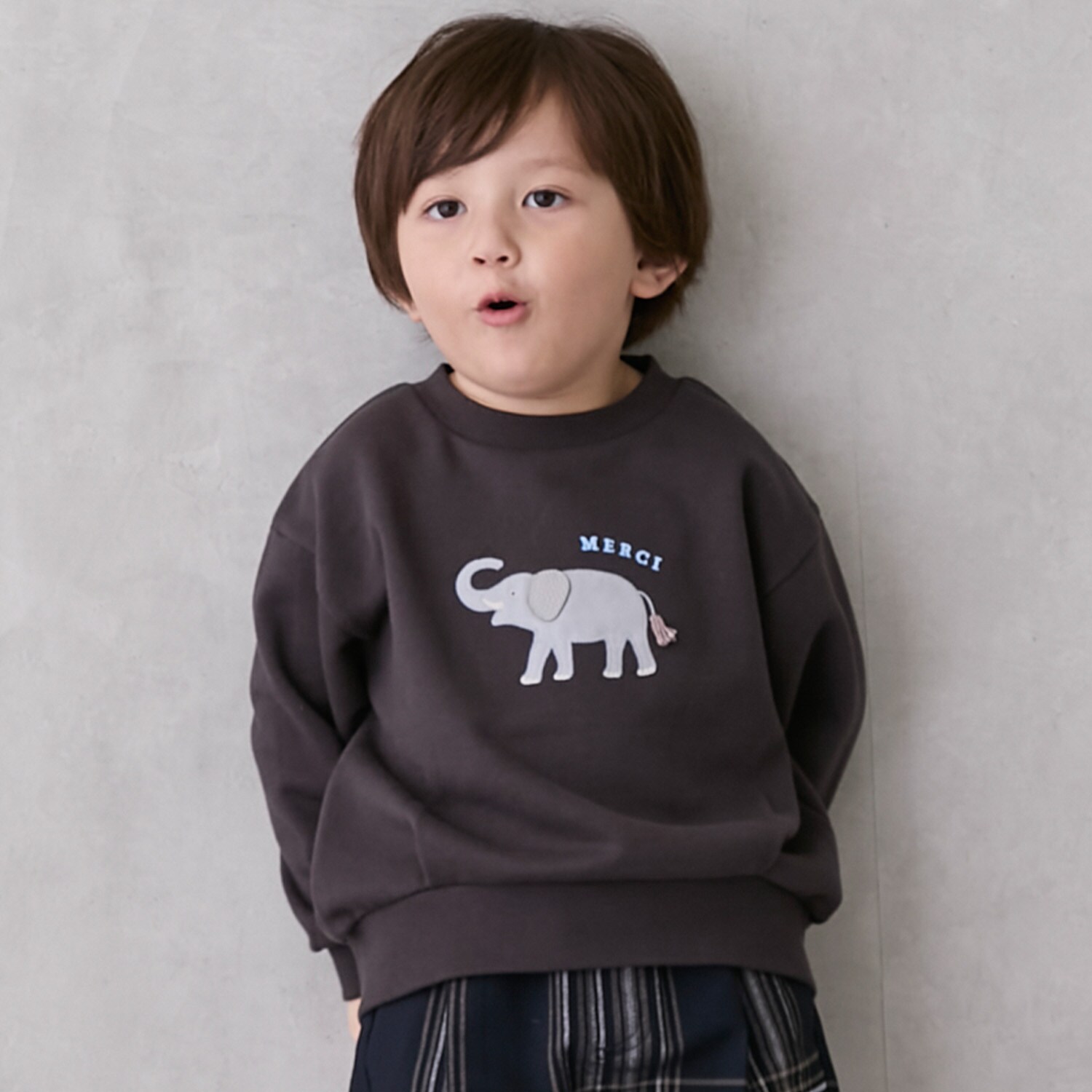 モチーフトレーナー