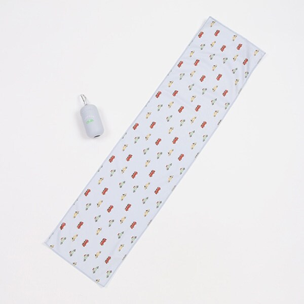 ケースつきひんやりタオル