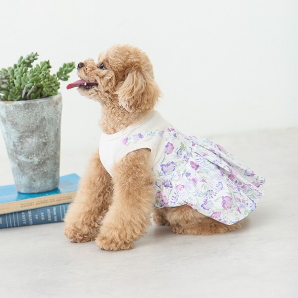 【リンク】【DOG】花柄ドッキングワンピ