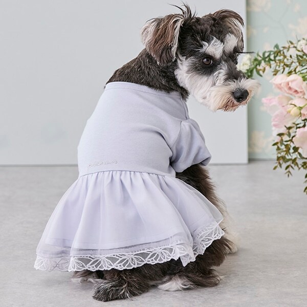 【リンク】【DOG】シアードッキングワンピ