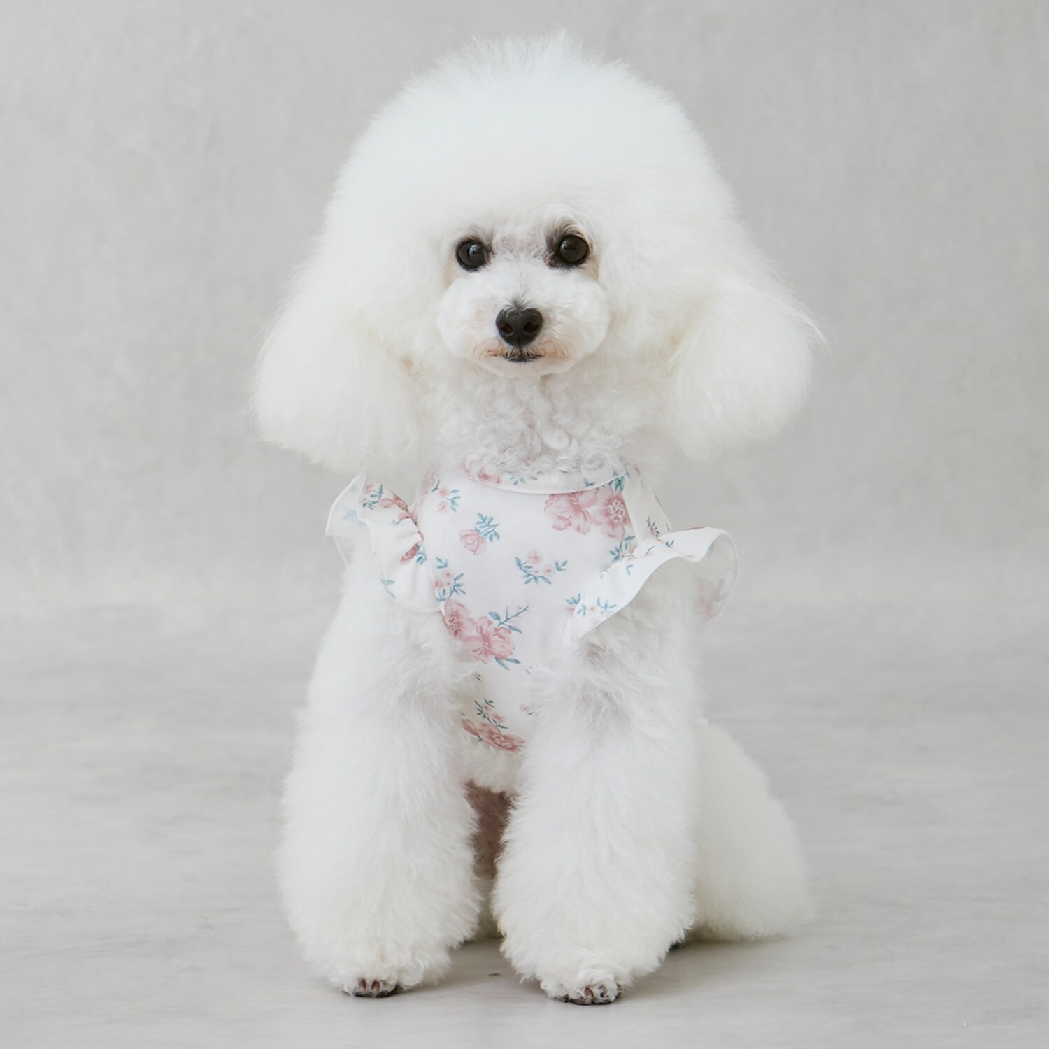 【DOG】【SWIM】肩フリル柄タンク