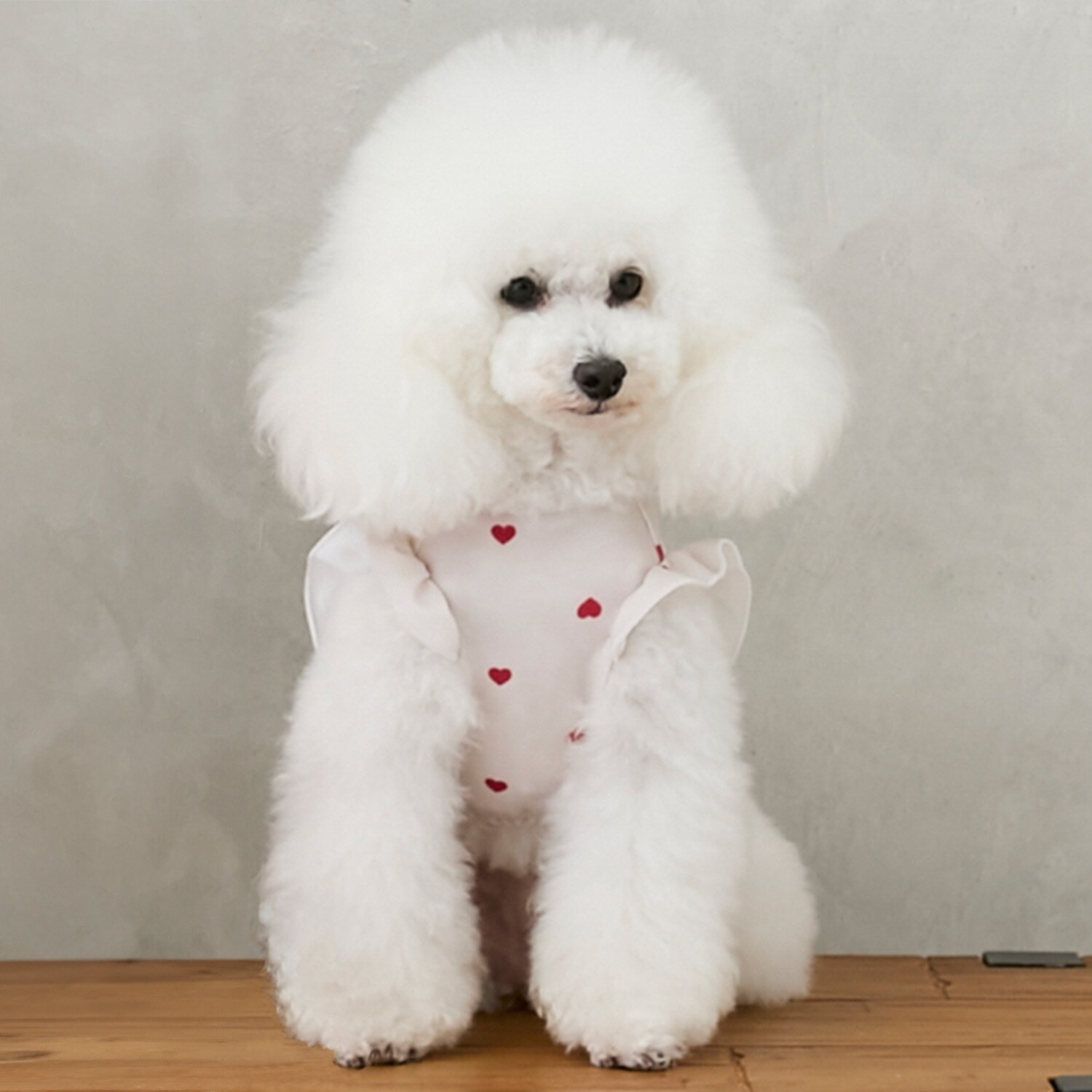 【DOG】【SWIM】肩フリル柄タンク