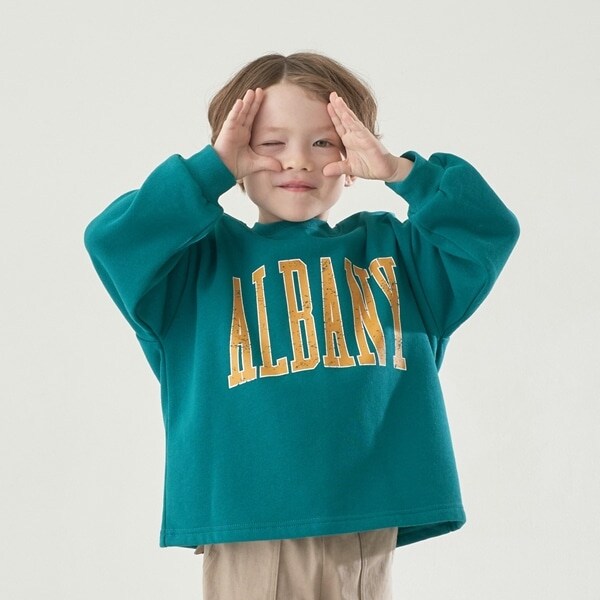 【表コットン毛玉バイバイ裏起毛】選べる7パターンプリントビッグスウェット