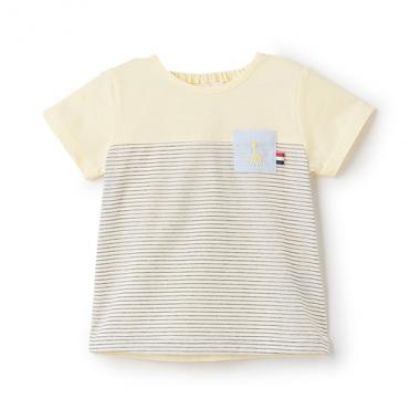 ボーダー切替半袖Tシャツ