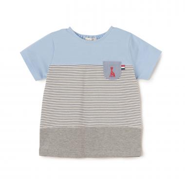 ボーダー切り替えTシャツ【日本製】