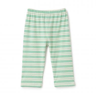 【365D】リブボーダー6分丈レギンス