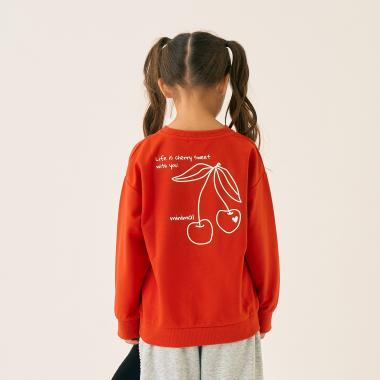 裏毛バックプリントアソートプルオーバー