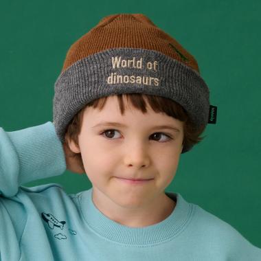 恐竜ニット帽